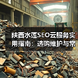 陕西水莲SEO云服务实用指南：选购维护与常见问题解析(图1)