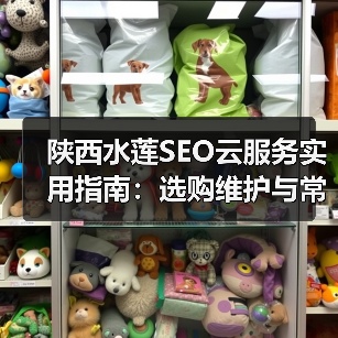 陕西水莲SEO云服务实用指南：选购维护与常见问题解析(图2)